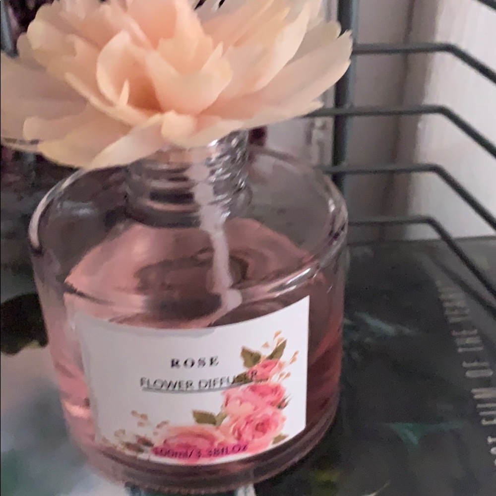 Diffuser - Picture 2 of 2